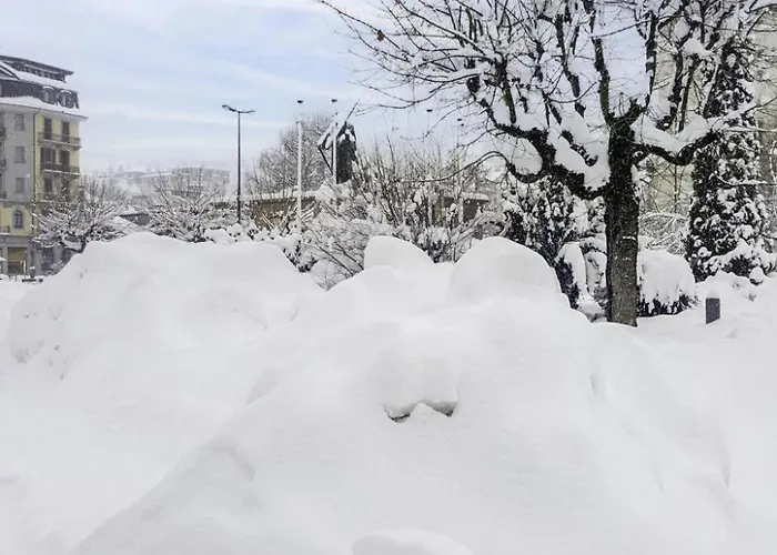 Le Brevent By Interhome